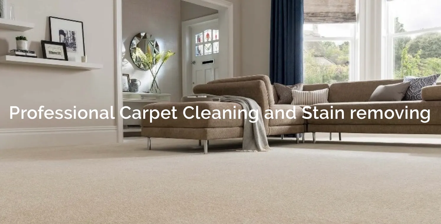 ICE Crystal Cleaning Services
