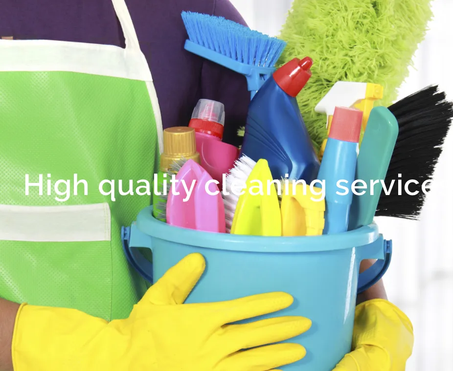 ICE Crystal Cleaning Services