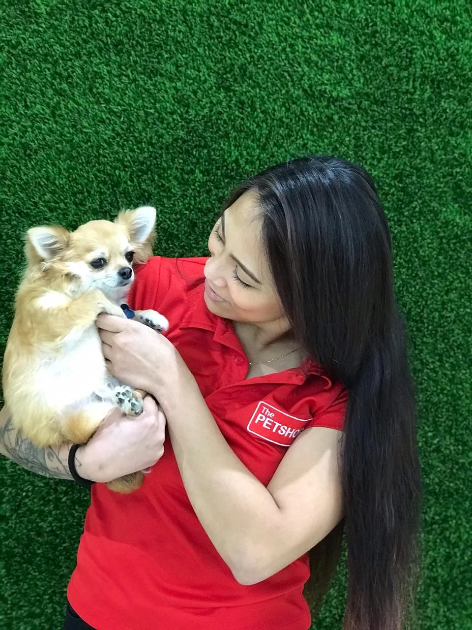 The Pet Shop LLC