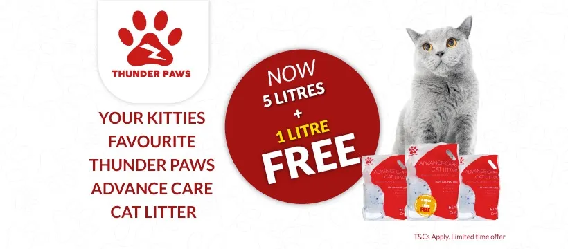The Pet Shop LLC