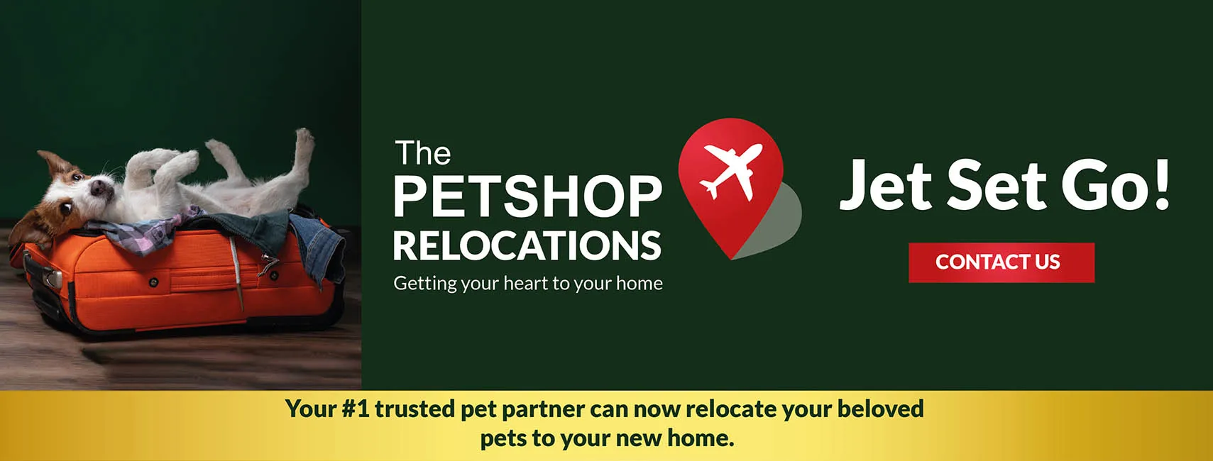 The Pet Shop LLC