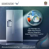 Federal Electricity & Water Authority