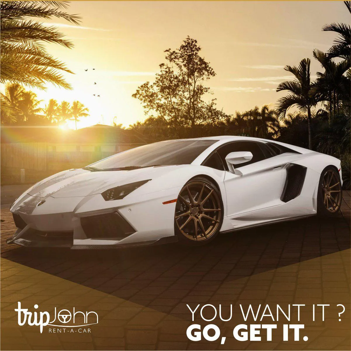 TripJohn Car Rental