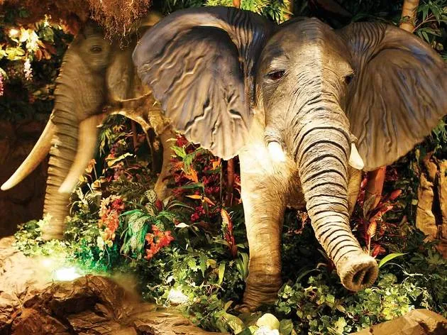 Rainforest Cafe