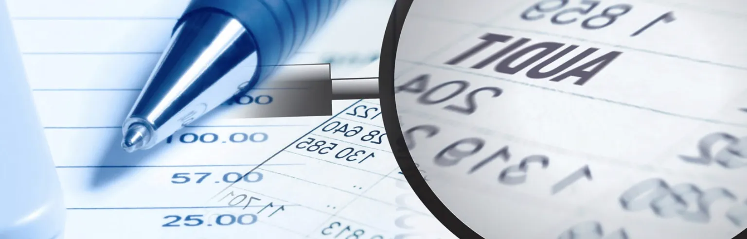 Majed Alshamsi Auditing