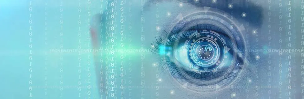 Smart Vision For Information Systems