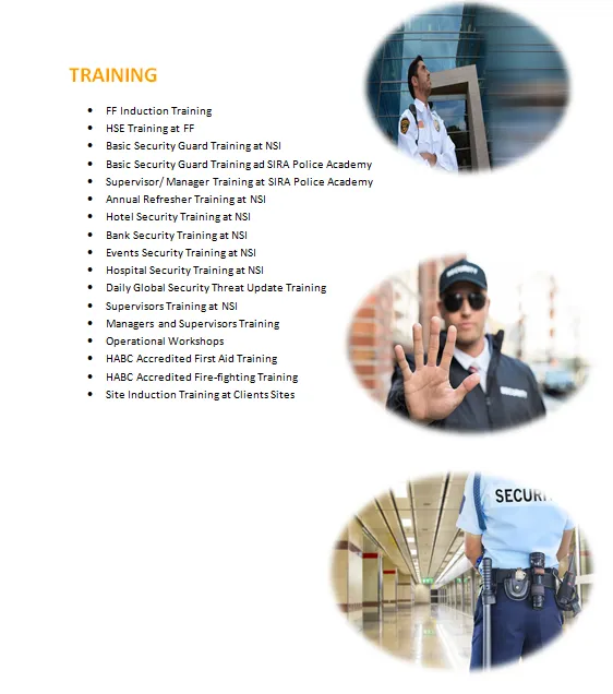 Falcon Force Property Guard & Surveillance Service