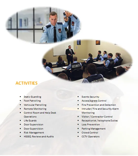 Falcon Force Property Guard & Surveillance Service