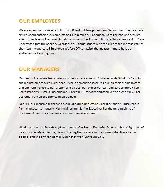 Falcon Force Property Guard & Surveillance Service