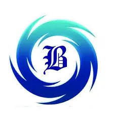 Bradford Technical Services LLC