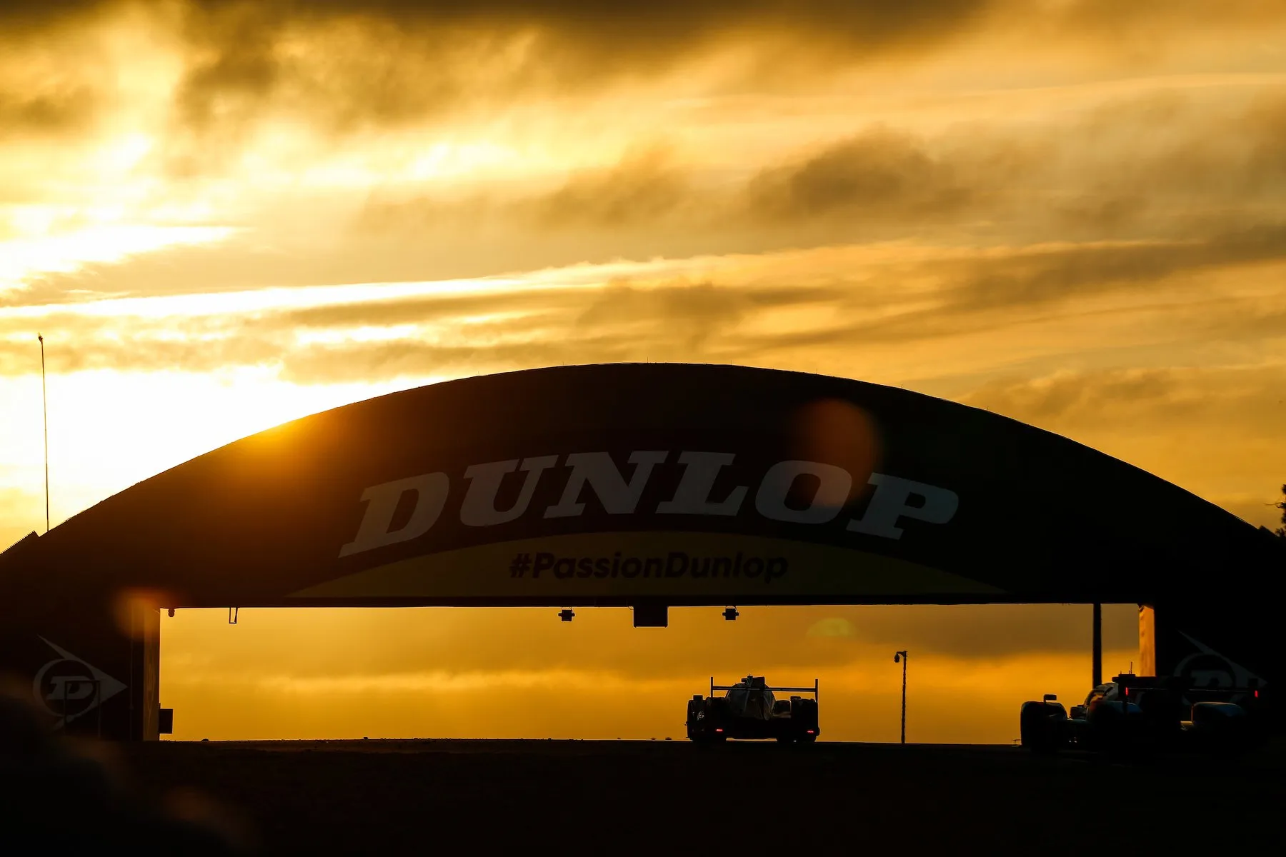 Dunlop Pro