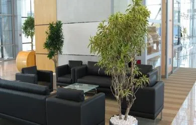Floramex Trading, LLC
