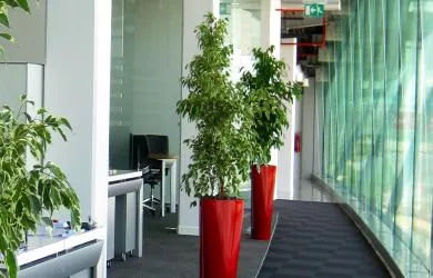 Floramex Trading, LLC
