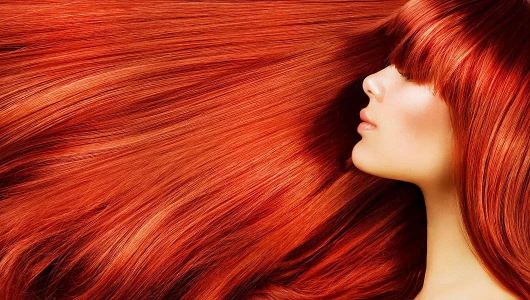 The Stylists Salon
