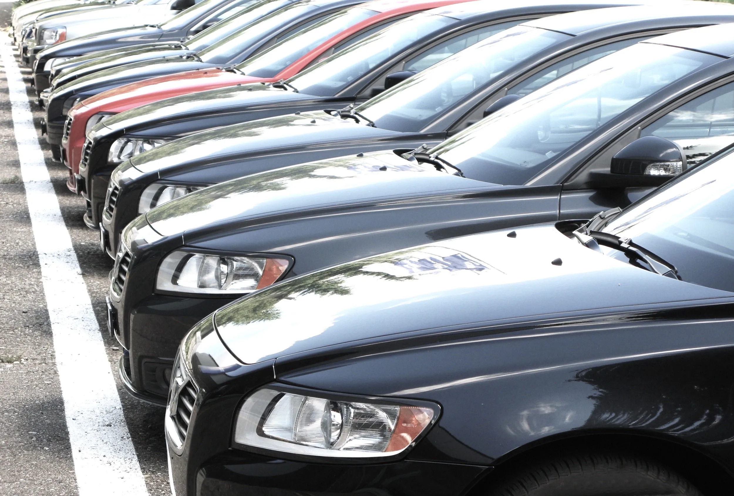 Translease Rent A Car