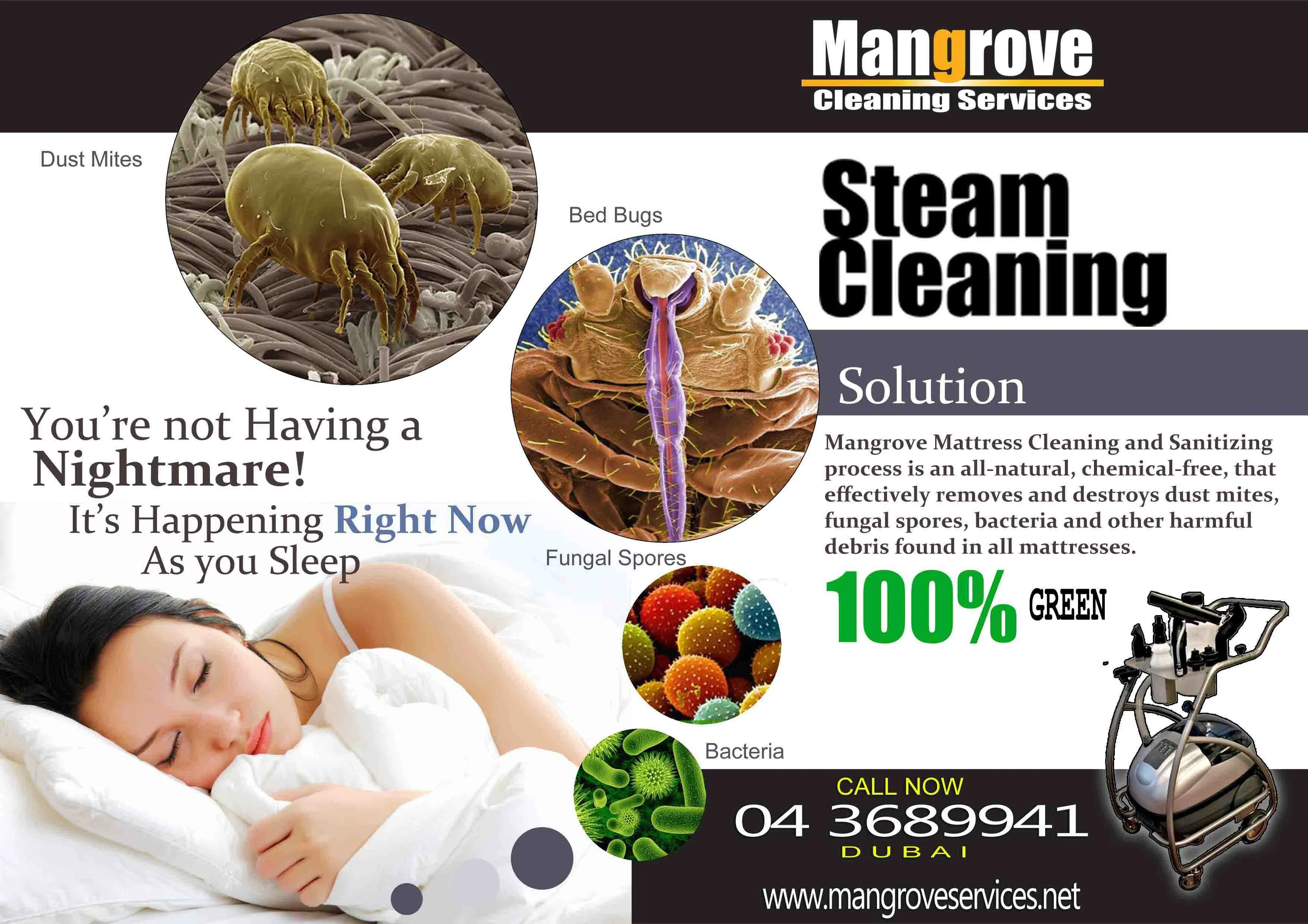 Mangrove Services