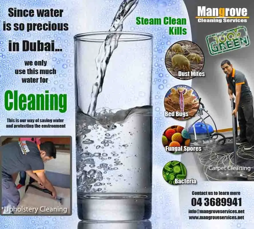 Mangrove Services