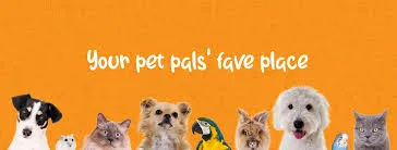 Pet Corner