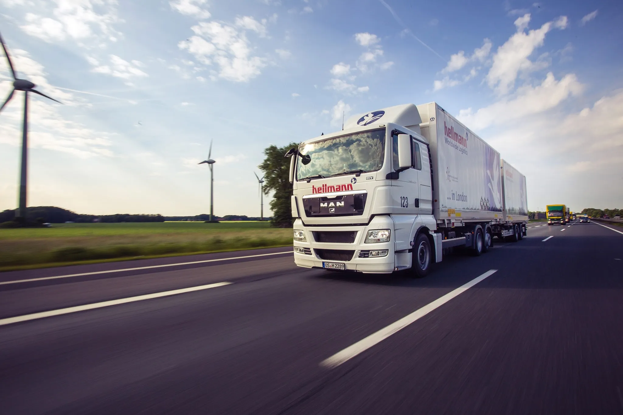Hellmann Worldwide Logistics, LLC