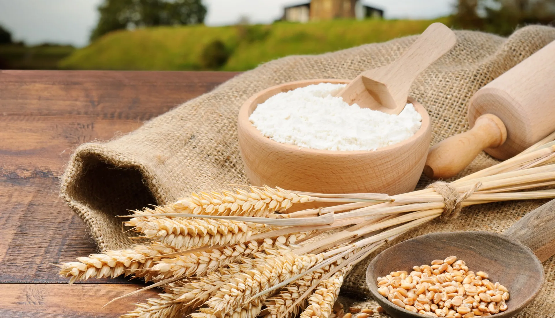 Al Ain Flour Mill