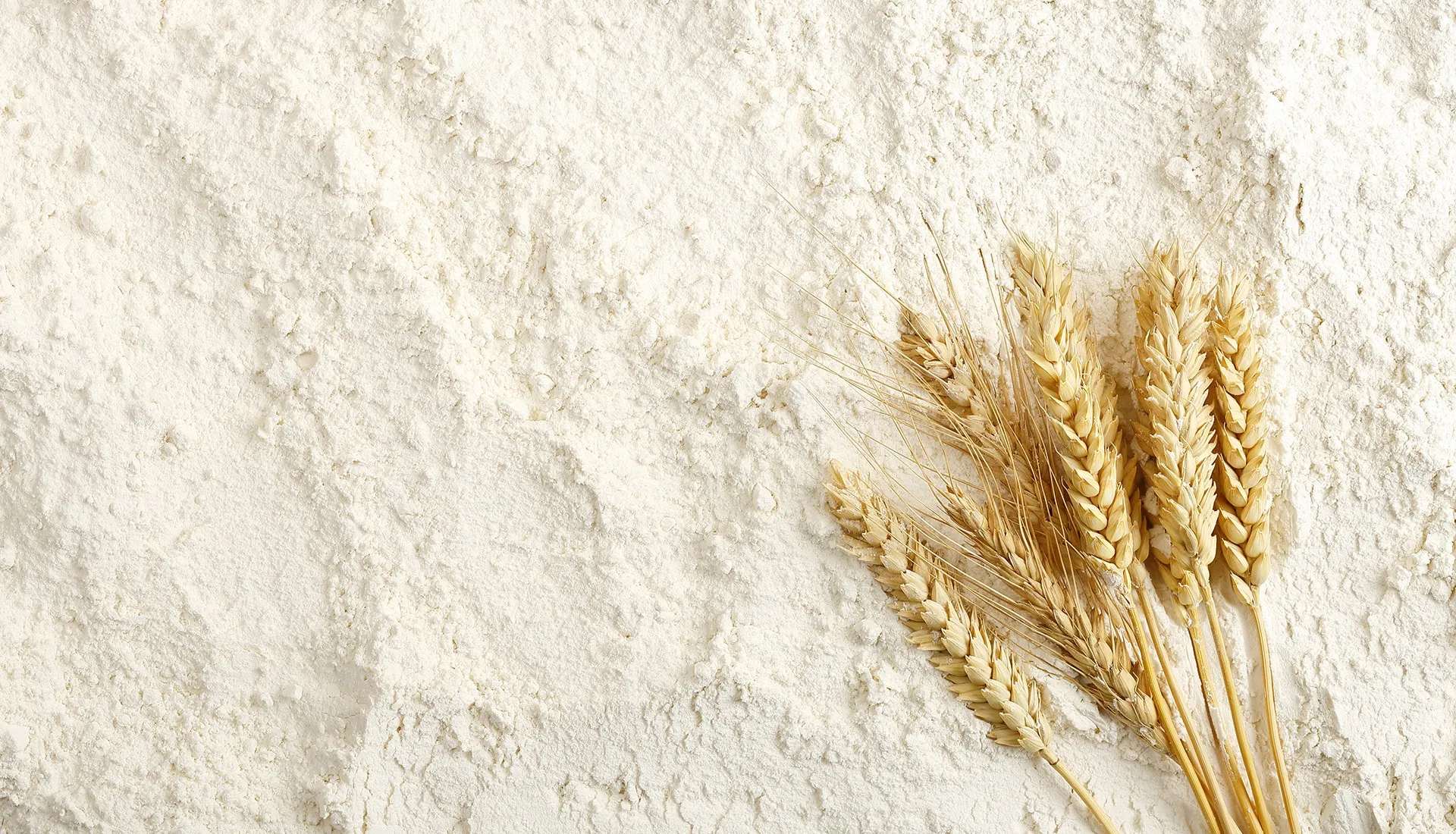 Al Ain Flour Mill
