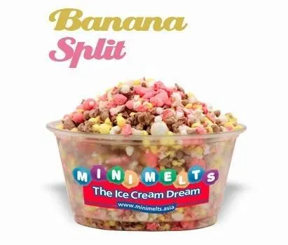 Mini Melts, LLC