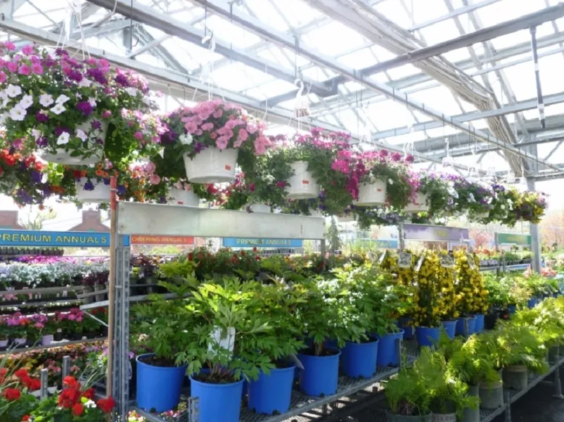 Bustan Al Zohour Nursery
