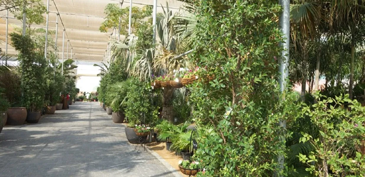 Bustan Al Zohour Nursery