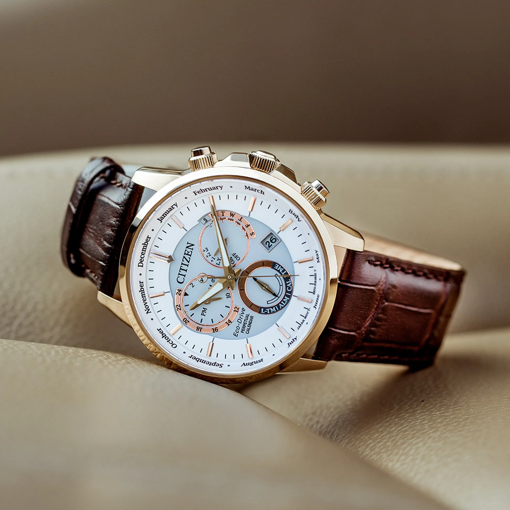 Citizen Watches
