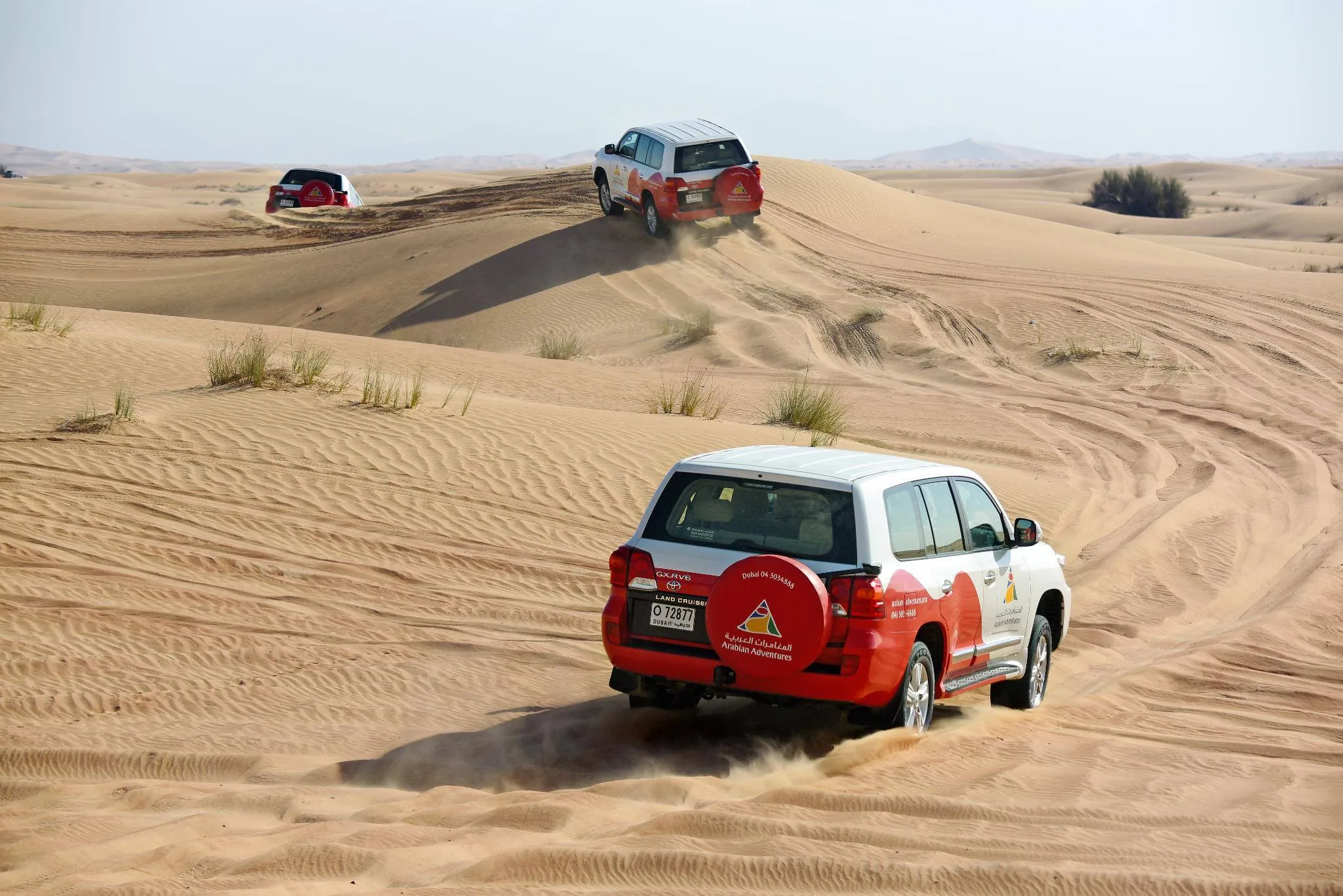 Arabian Adventures
