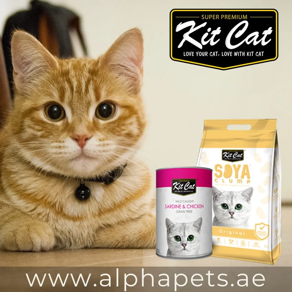 Alpha Pets