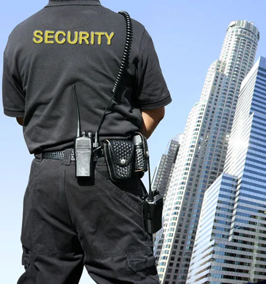 Black Horse Security & Cleaning Services