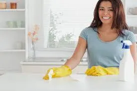 Black Horse Security & Cleaning Services