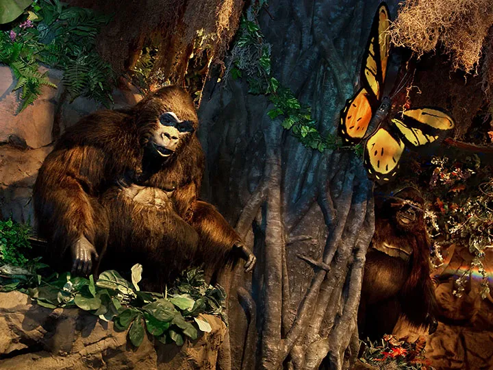 Rainforest Cafe