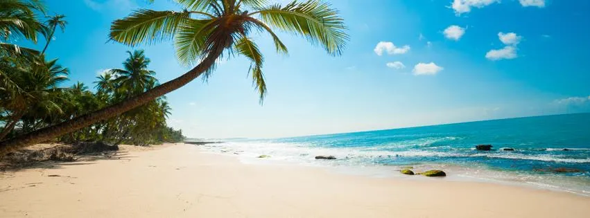 Trinity Travel & Tourism L.L.C