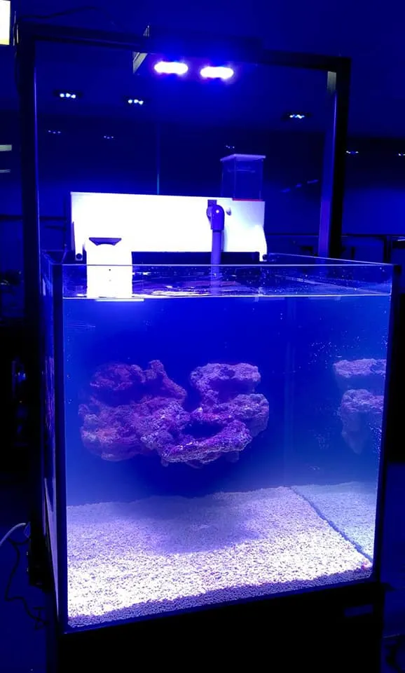 Aqua Mart Aquariums