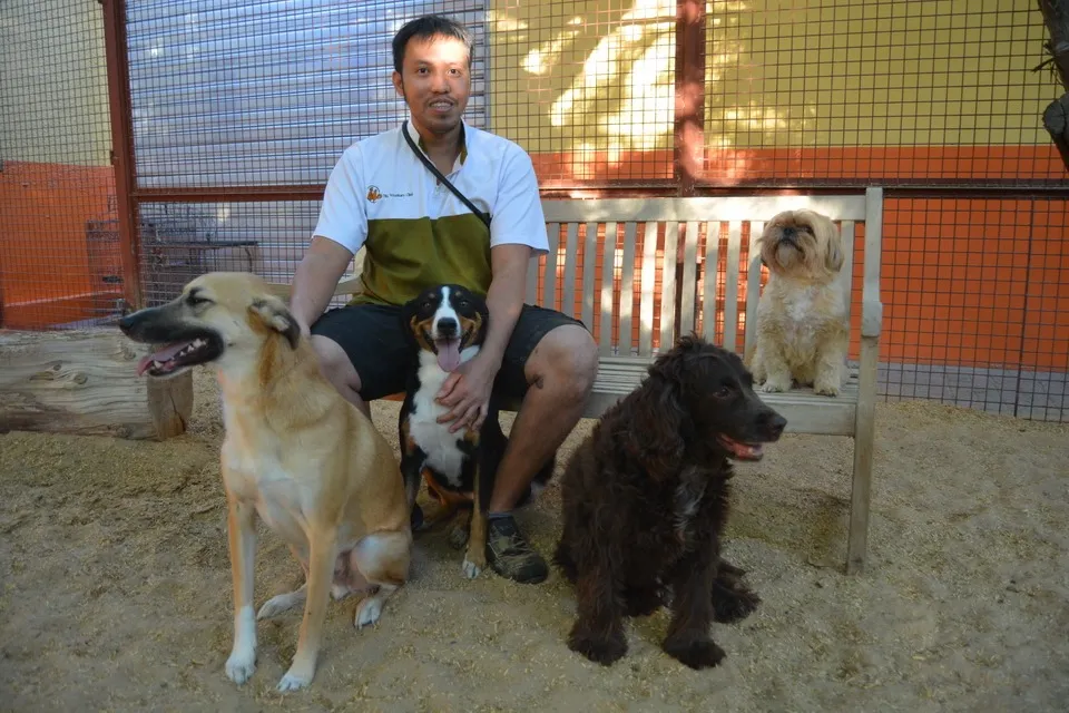 Dubai Kennels And Cattery