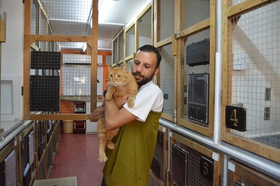 Dubai Kennels And Cattery