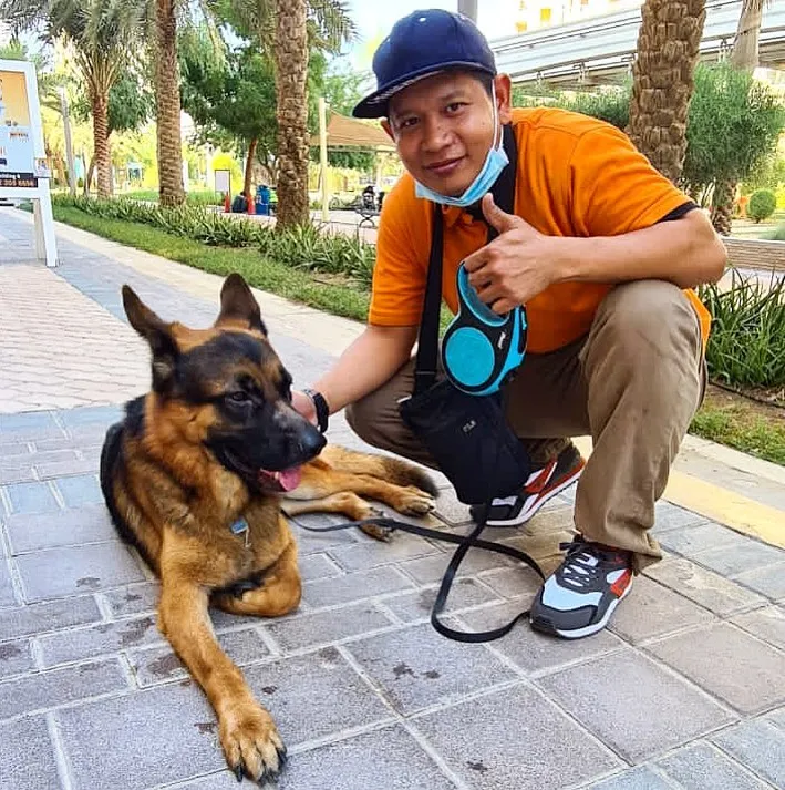My Pets