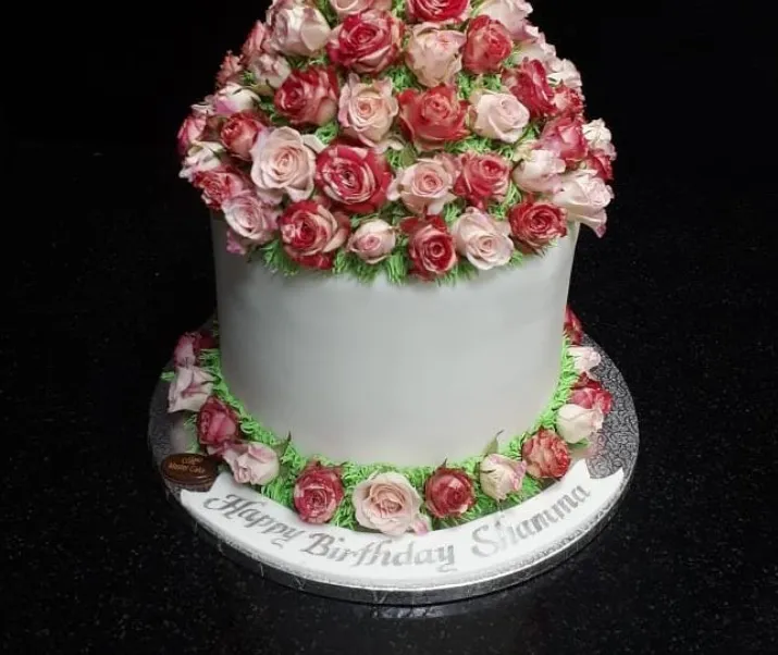 Master Cake 