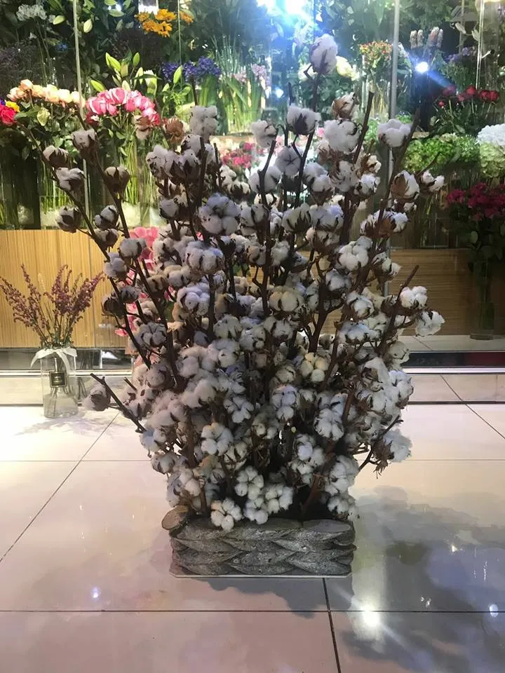 We Flowers 