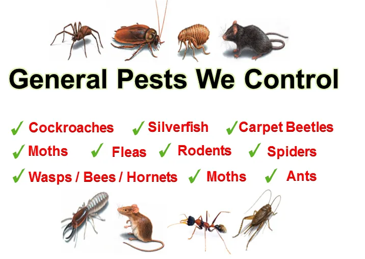 Quality Pest Control Sharjah