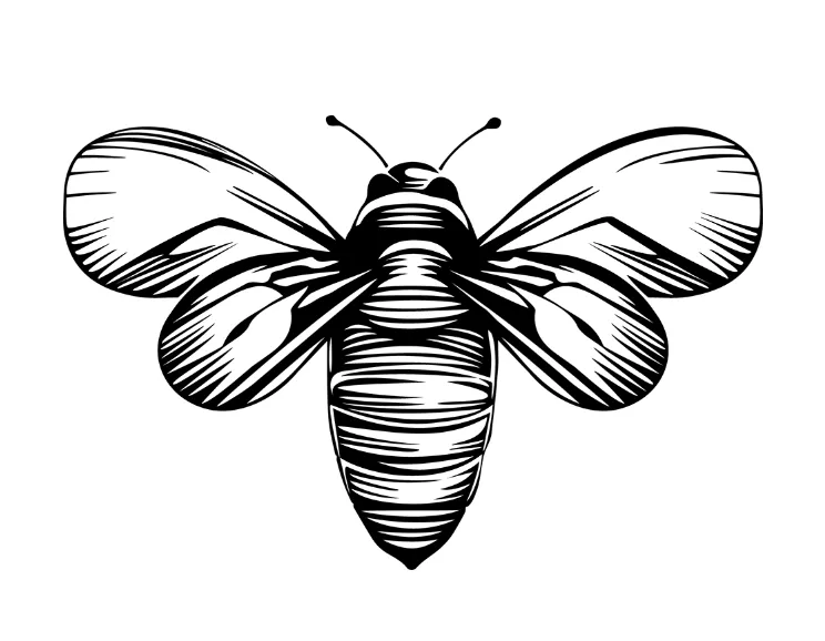 Amrita Honey