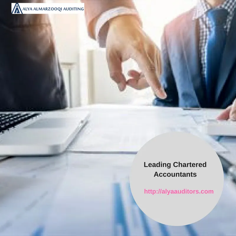 Alya Auditors