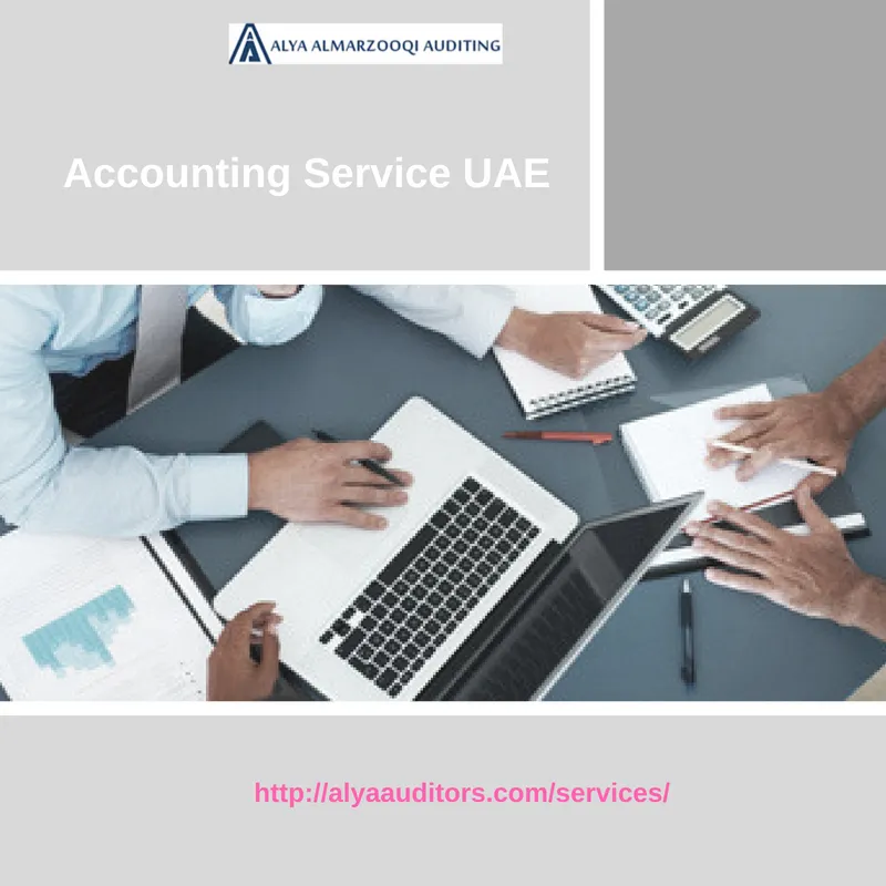 Alya Auditors