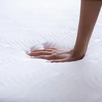 The Mattress Store