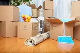 Professional Deep Cleaning Services (Move-in/out; Spring Cleaning)