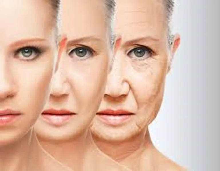 Esthetic Surger Clinic