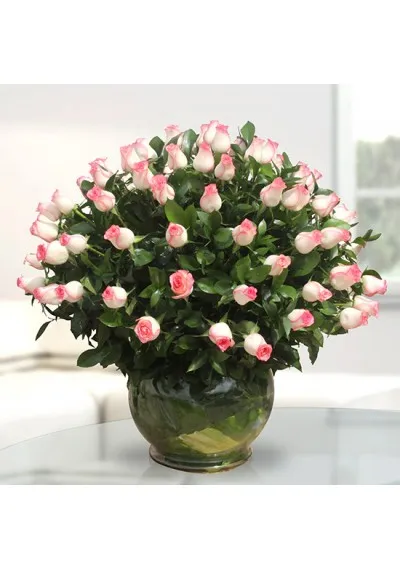 Buds N Bloom Trading LLC
