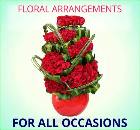Buds N Bloom Trading LLC